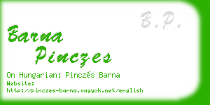 barna pinczes business card