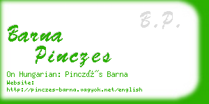 barna pinczes business card